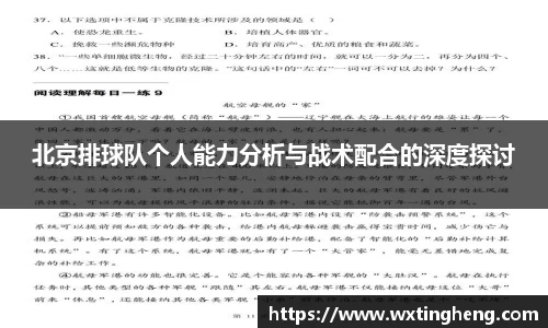 北京排球队个人能力分析与战术配合的深度探讨