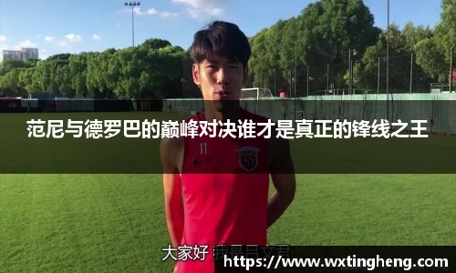 范尼与德罗巴的巅峰对决谁才是真正的锋线之王